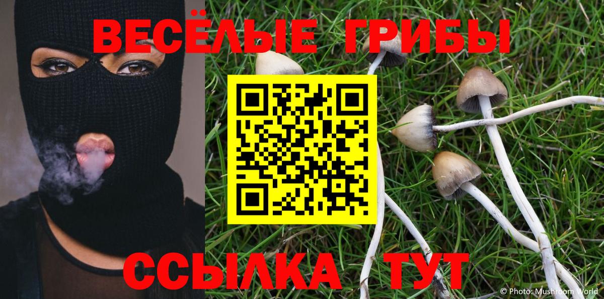 Галлюциногенные грибы прущие грибы Элиста