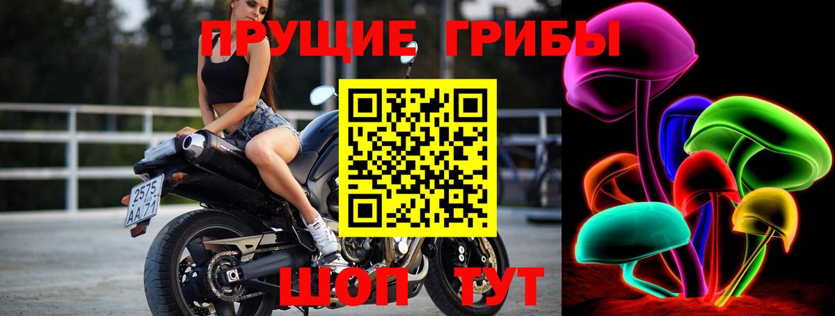 Псилоцибиновые грибы GOLDEN TEACHER  Вход с VPN  купить   Элиста 